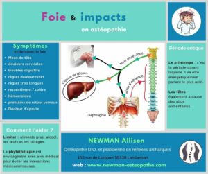 Ostéopathie impact du foie