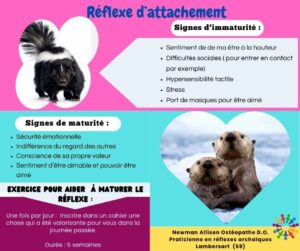 Réflexe d'attachement réflexes archaïques pour adultes et enfants